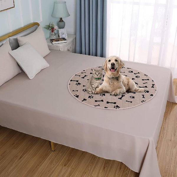 Should I Use Puppy Pads In A Crate